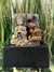 Fuente de agua Feng Shui con Buda 26 cm - Exclusiva - tienda online