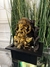 Fuente de agua Feng Shui Ganesha 26 cm de altura - Simula Roca - comprar online