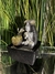 Fuente de agua Feng Shui Buda 18 cm en internet