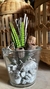Imagen de Cactus y Suculenta Artificial con Troncos Naturales - 20 cm x 12 cm vidrio