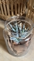 Cactus y Suculenta Artificial con Troncos Naturales - 16 cm x 12 cm vidrio - (copia) en internet