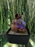 Fuente de Agua Feng Shui 18 cm - Exclusiva - Luz Multicolor - comprar online