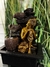 Exclusiva Fuente de Agua Feng Shui con Buda 32 cm - Alma Regalos