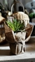Cactus y Suculenta Artificial con Troncos Naturales - 27 cm x 14 cm - tienda online