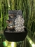 Fuente de agua Ganesha Feng Shui - Plateada - 18 cm en internet