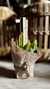 Cactus y Suculenta Artificial con Troncos Naturales - 20 cm x 10 cm - comprar online