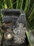 Fuente de agua Ganesha Feng Shui - Plateada - 18 cm - comprar online
