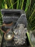Fuente de agua Ganesha Feng Shui - Plateada - 18 cm - comprar online