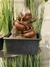 Fuente de Agua Feng Shui 19 cm con Esfera de Vidrio - comprar online