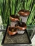 Fuente de agua Feng Shui 19 cm - comprar online