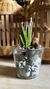 Cactus y Suculenta Artificial con Troncos Naturales - 20 cm x 12 cm vidrio - Alma Regalos