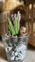 Cactus y Suculenta Artificial con Troncos Naturales - 20 cm x 12 cm vidrio - comprar online