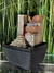 Fuente de agua Feng Shui 18 cm - tienda online