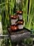Fuente de agua Feng Shui 19 cm