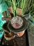 Fuente de agua Feng Shui con esfera de vidrio 18 cm en internet