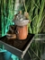 Fuente de agua Feng Shui con esfera de vidrio 18 cm - comprar online