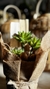 Cactus y Suculenta Artificial con Troncos Naturales - 27 cm x 14 cm - comprar online
