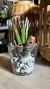 Cactus y Suculenta Artificial con Troncos Naturales - 20 cm x 12 cm vidrio - tienda online