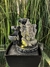 Fuente de agua Ganesha Feng Shui 18 cm en internet