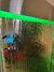 Exclusivo muro de agua espejo - Con luz led RGB - Acero inoxidable 150 cm - Entrega 15 días - tienda online