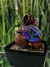 Imagen de Fuente de Agua Feng Shui 18 cm - Exclusiva - Luz Multicolor