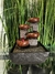 Fuente de agua Feng Shui 19 cm - Alma Regalos