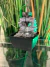 Fuente de agua Feng Shui 18 cm - Luz de blanca - Mucho caudal de agua - tienda online