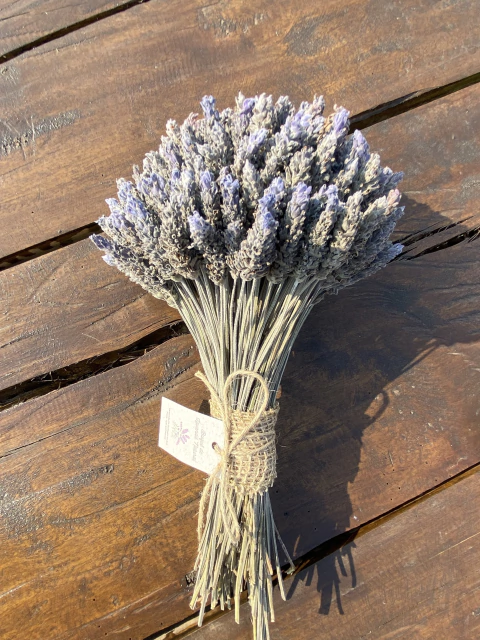 BUQUÊ DE LAVANDAS TAMANHO G DESIDRATADAS - La Janda