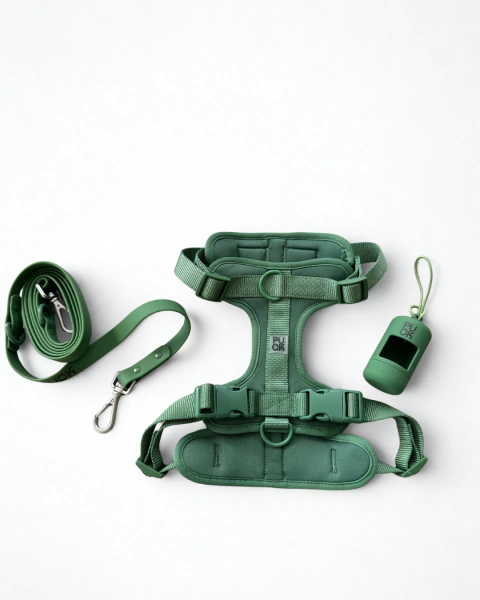 Kit Full Verde