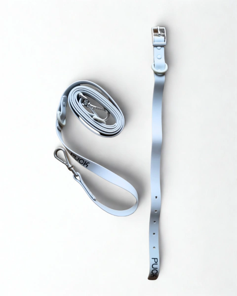 Kit Esenciales-Gris (Correa + Collar)