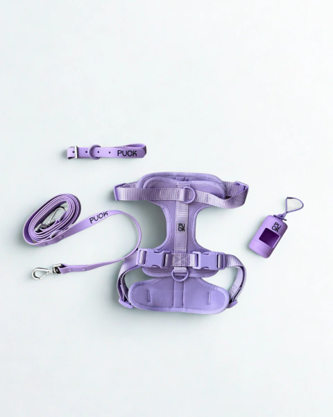 Kit Paseo Full Lila