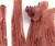 Rhode Peptide Lip Shade Cor Lean Warm Medium Brown na internet