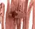 Rhode Peptide Lip Shade Cor Lunge Rosy Beige na internet