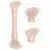 Patrick Ta Pincel Dual Ended Sculpting para contorno - comprar online