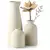 vaso decorativo ceramica


vaso de porcelana


vaso luxuoso


vaso de flor porcelana


Vaso ceramica


vaso decorativo


vaso de flor


vaso decorativo porcelana

