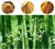 bamboo


kit pendentes


luminaria pendente


lustre


pendente


pendente artesanal


pendente em bamboo


pendente luminaria


pendente para sala


pendente sala de jantar

