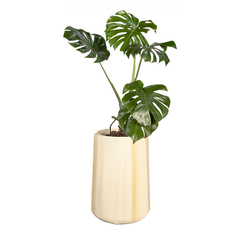 Combo Patina Crema Lineal - comprar online