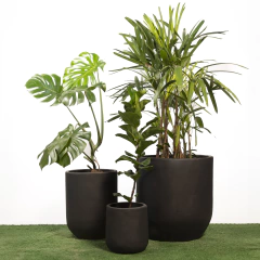 Combo Trío salteñas 55/45/27 - Luba