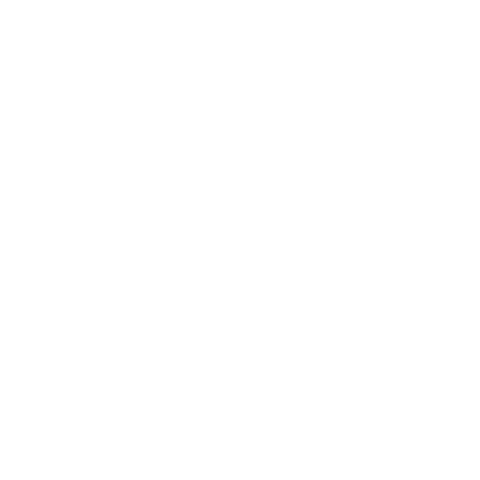 Rebel