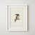 Imagen de Cuadro Aracari