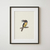 Cuadro Aracari - comprar online