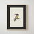 Cuadro Aracari - Vicky Lastra
