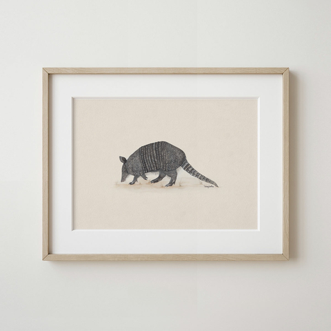 Cuadro Armadillo
