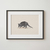 Cuadro Armadillo en internet