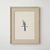 Cuadro Blue Jay en internet