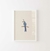 Cuadro Blue Jay - Vicky Lastra