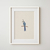 Cuadro Blue Jay - tienda online