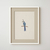 Imagen de Cuadro Blue Jay