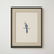 Cuadro Blue Jay - comprar online