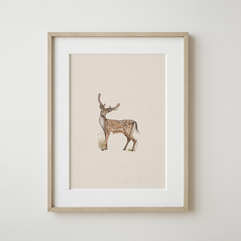 Cuadro Ciervo IV